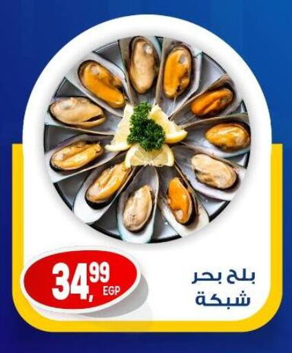 الأسماك الطازجة in أولاد المحاوى, Egypt Offers - Egypt available at أولاد المحاوى in Egypt - القاهرة