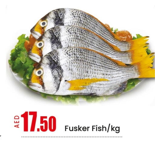 Fresh Fish in Mango Hypermarket LLC, UAE Offers - United Arab Emirates Mango available at Mango Hypermarket LLC in UAE - Ras al Khaimah