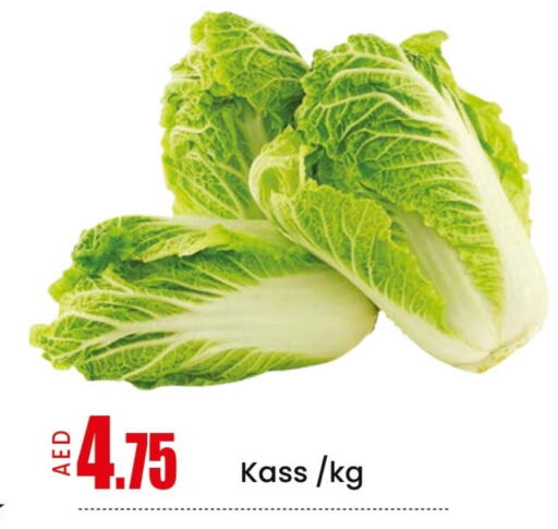 Fresh Vegetables in Mango Hypermarket LLC, UAE Offers - United Arab Emirates Mango available at Mango Hypermarket LLC in UAE - Sharjah / Ajman