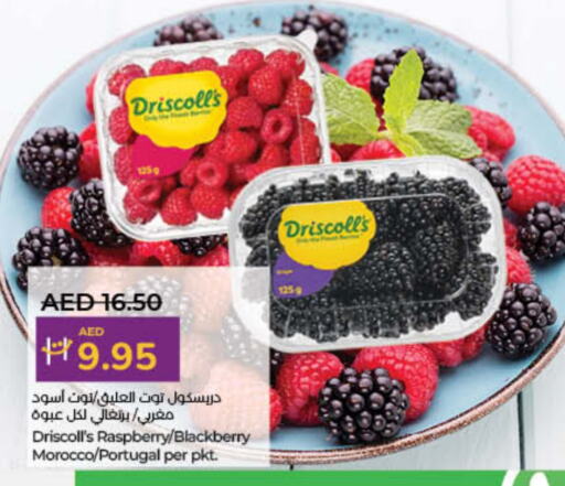 فاكهة طازجة in لولو هايبرماركت, UAE Offers - الإمارات العربية المتحدة توت from Morocco Portugal available at لولو هايبرماركت in الإمارات العربية المتحدة , الامارات - الشارقة / عجمان