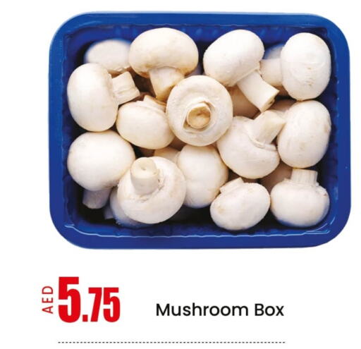 Fresh Vegetables in Mango Hypermarket LLC, UAE Offers - United Arab Emirates Mushroom available at Mango Hypermarket LLC in UAE - Sharjah / Ajman