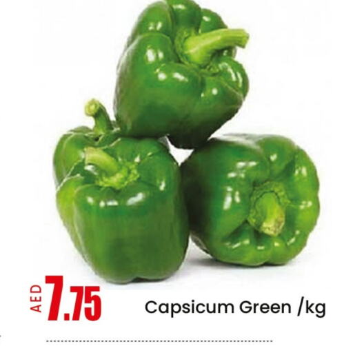 Fresh Vegetables in Mango Hypermarket LLC, UAE Offers - United Arab Emirates Chilli / Capsicum available at Mango Hypermarket LLC in UAE - Sharjah / Ajman