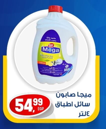 available at أولاد المحاوى in Egypt - القاهرة