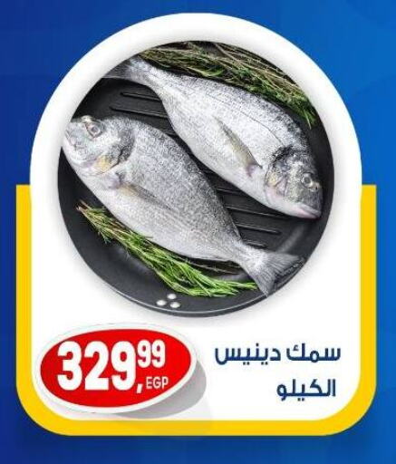 الأسماك الطازجة in أولاد المحاوى, Egypt Offers - Egypt available at أولاد المحاوى in Egypt - القاهرة