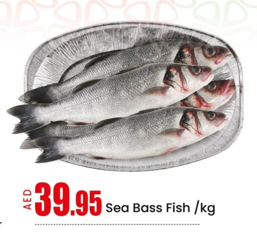 Fresh Fish in Mango Hypermarket LLC, UAE Offers - United Arab Emirates Mango available at Mango Hypermarket LLC in UAE - Ras al Khaimah