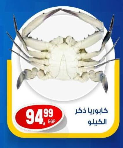 الأسماك الطازجة in أولاد المحاوى, Egypt Offers - Egypt available at أولاد المحاوى in Egypt - القاهرة