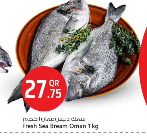 available at سفاري هايبر ماركت in قطر - الوكرة