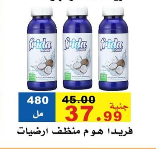 Cleaning in El Rady Mall, Egypt Offers - Egypt General Cleaner available at El Rady Mall in Egypt - Cairo