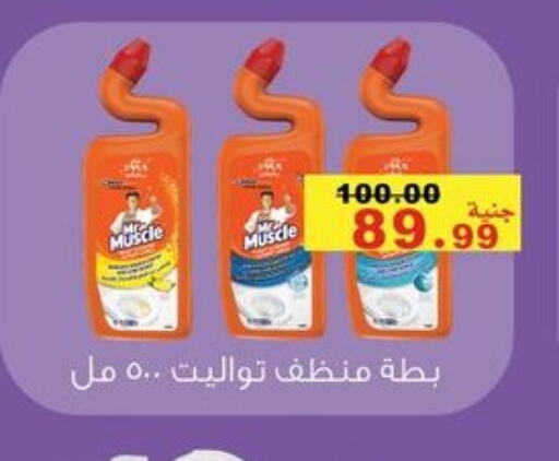 منظف عام available at مول الراضي in Egypt - القاهرة