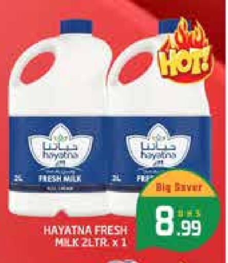 HAYATNA Fresh Milk available at Al Madina  in UAE - Dubai