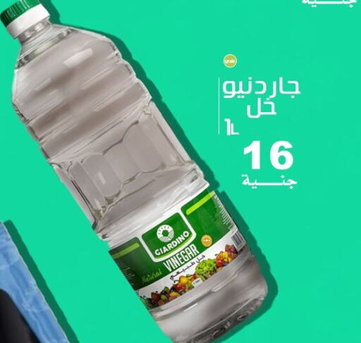 Sauces & Spreads in El Rady Mall, Egypt Offers - Egypt Vinegar available at El Rady Mall in Egypt - Cairo