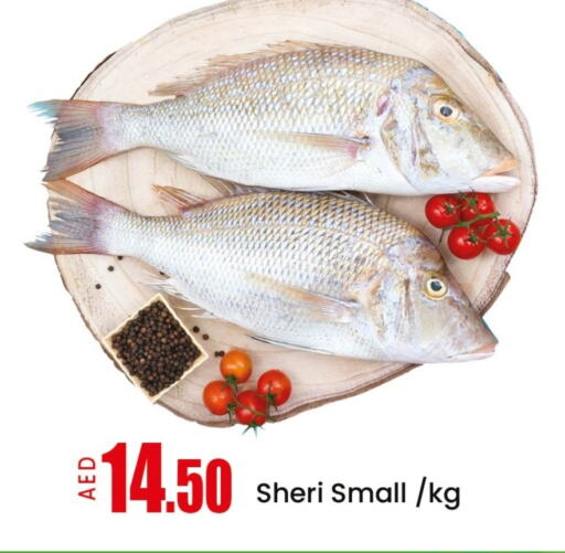 Fresh Fish in Mango Hypermarket LLC, UAE Offers - United Arab Emirates Mango available at Mango Hypermarket LLC in UAE - Ras al Khaimah