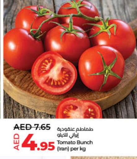Tomato from Iran available at Lulu Hypermarket in UAE - Dubai