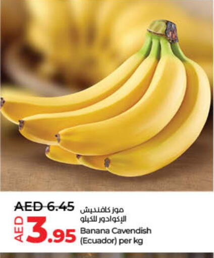 Banana from Ecuador available at Lulu Hypermarket in UAE - Dubai
