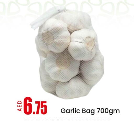 Fresh Vegetables in Mango Hypermarket LLC, UAE Offers - United Arab Emirates Garlic available at Mango Hypermarket LLC in UAE - Sharjah / Ajman