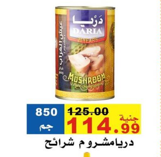 Canned & Packeted in El Rady Mall, Egypt Offers - Egypt Mushroom available at El Rady Mall in Egypt - Cairo
