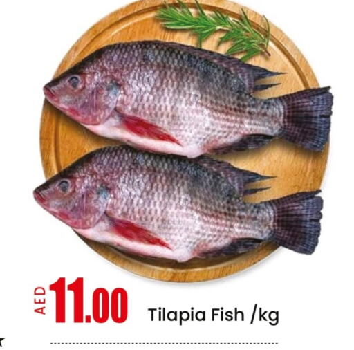 Fresh Fish in Mango Hypermarket LLC, UAE Offers - United Arab Emirates Mango available at Mango Hypermarket LLC in UAE - Ras al Khaimah