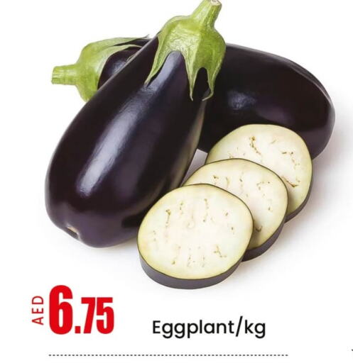 Fresh Vegetables in Mango Hypermarket LLC, UAE Offers - United Arab Emirates Mango Eggplant available at Mango Hypermarket LLC in UAE - Sharjah / Ajman