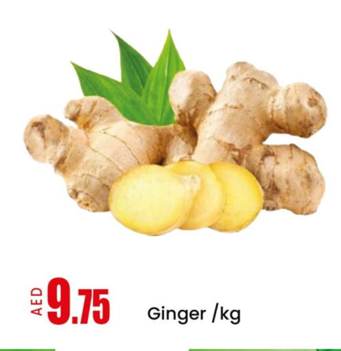 Fresh Vegetables in Mango Hypermarket LLC, UAE Offers - United Arab Emirates Ginger available at Mango Hypermarket LLC in UAE - Sharjah / Ajman