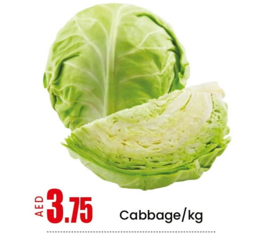 Fresh Vegetables in Mango Hypermarket LLC, UAE Offers - United Arab Emirates Cabbage available at Mango Hypermarket LLC in UAE - Sharjah / Ajman