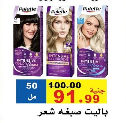 PALETTE Hair Colour available at El Rady Mall in Egypt - Cairo