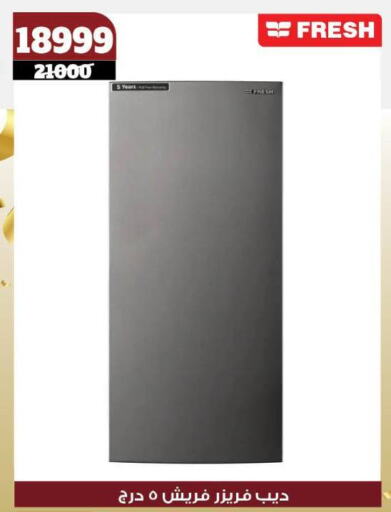 فريش فريزر available at كوكو اند اس in Egypt - القاهرة