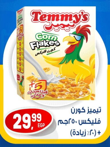 TEMMYS Corn Flakes available at El mhallawy Sons in Egypt - Cairo