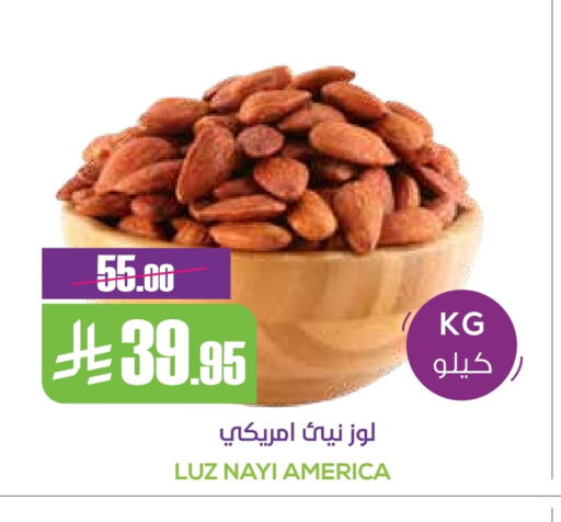 Dried Fruits & Dates in Sapt, Saudi Arabia Offers - Saudi Arabia available at Sapt in KSA, Saudi Arabia, Saudi - Buraidah