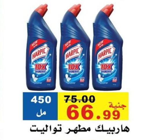 Cleaning in El Rady Mall, Egypt Offers - Egypt HARPIC Disinfectant available at El Rady Mall in Egypt - Cairo
