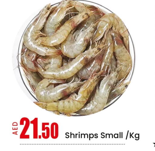 Fresh Fish in Mango Hypermarket LLC, UAE Offers - United Arab Emirates Mango available at Mango Hypermarket LLC in UAE - Ras al Khaimah