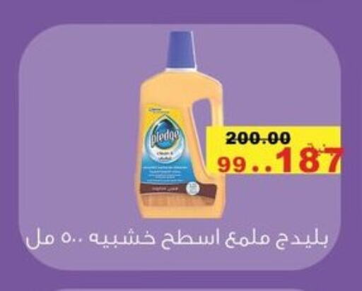 PLEDGE available at El Rady Mall in Egypt - Cairo