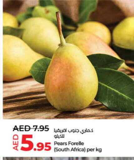 Pear from South Africa available at Lulu Hypermarket in UAE - Umm al Quwain