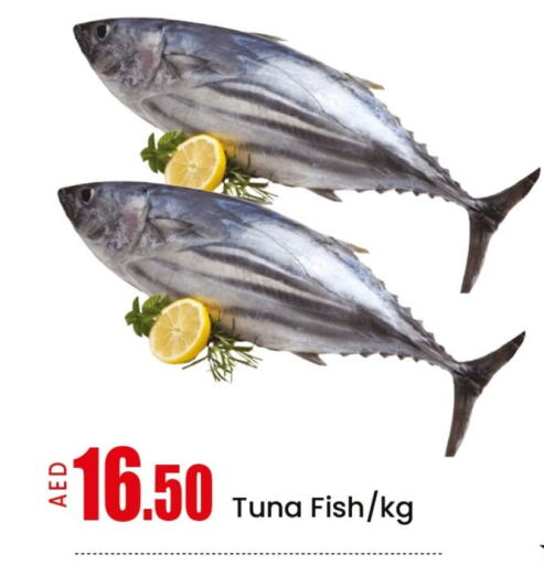 Fresh Fish in Mango Hypermarket LLC, UAE Offers - United Arab Emirates Tuna available at Mango Hypermarket LLC in UAE - Ras al Khaimah
