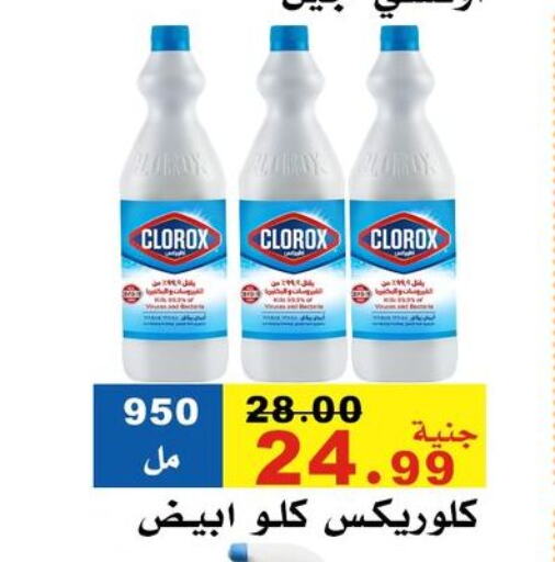 CLOROX General Cleaner available at El Rady Mall in Egypt - Cairo