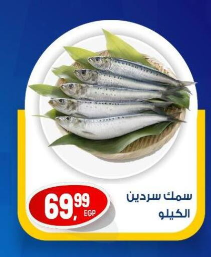 الأسماك الطازجة in أولاد المحاوى, Egypt Offers - Egypt available at أولاد المحاوى in Egypt - القاهرة