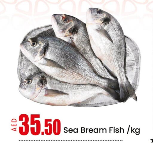 Fresh Fish in Mango Hypermarket LLC, UAE Offers - United Arab Emirates Mango available at Mango Hypermarket LLC in UAE - Ras al Khaimah