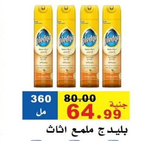 PLEDGE available at El Rady Mall in Egypt - Cairo