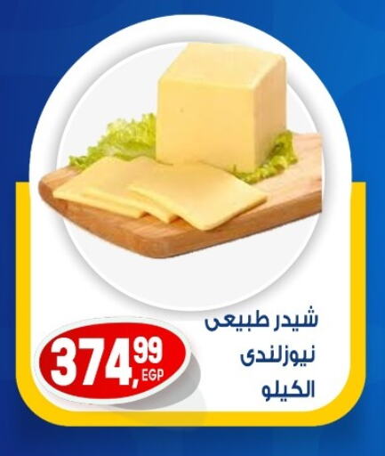Cheese & Cream in El mhallawy Sons, Egypt Offers - Egypt Cheddar Cheese available at El mhallawy Sons in Egypt - Cairo