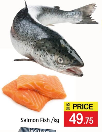 Fresh Fish in Mango Hypermarket LLC, UAE Offers - United Arab Emirates Mango available at Mango Hypermarket LLC in UAE - Ras al Khaimah
