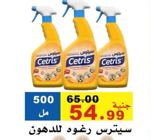 Cleaning in El Rady Mall, Egypt Offers - Egypt available at El Rady Mall in Egypt - Cairo