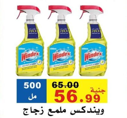Cleaning in El Rady Mall, Egypt Offers - Egypt WINDEX Glass Cleaner available at El Rady Mall in Egypt - Cairo