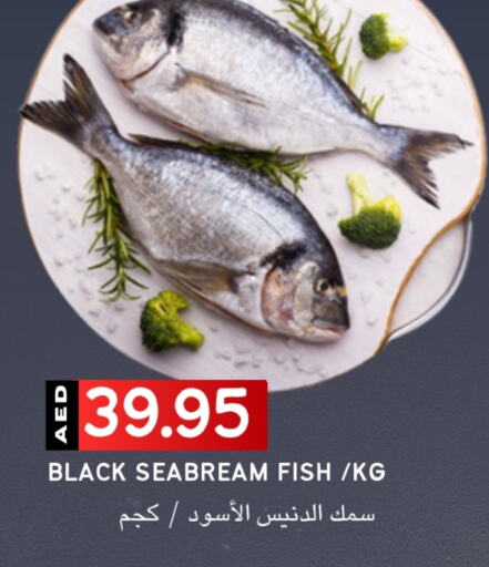 available at Select Market in UAE - Abu Dhabi