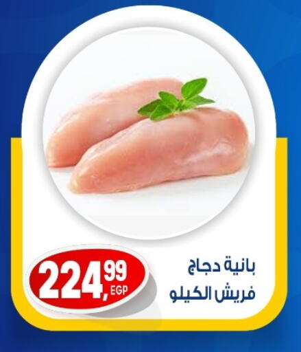 دجاج in أولاد المحاوى, Egypt Offers - Egypt بانية الدجاج available at أولاد المحاوى in Egypt - القاهرة
