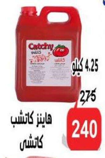 الصلصات والسبريد in الدنيا بخير, Egypt Offers - Egypt هاينز available at الدنيا بخير in Egypt - القاهرة