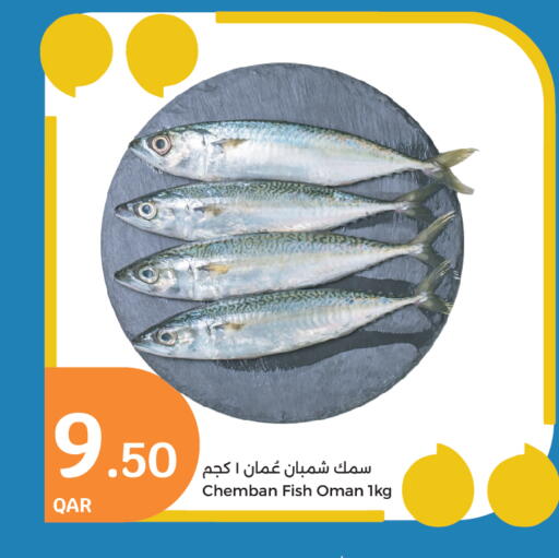 available at City Hypermarket in Qatar - Al-Shahaniya