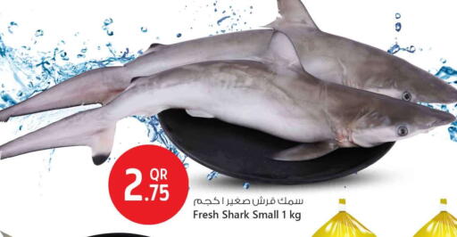 available at Safari Hypermarket in Qatar - Al-Shahaniya