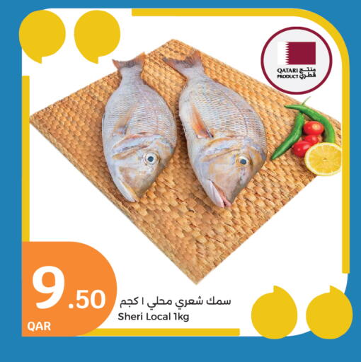 available at City Hypermarket in Qatar - Al-Shahaniya