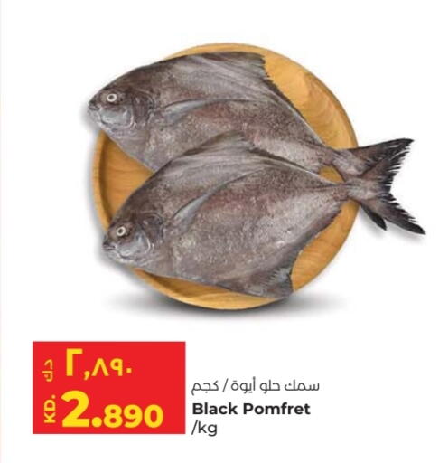available at Lulu Hypermarket  in Kuwait - Kuwait City