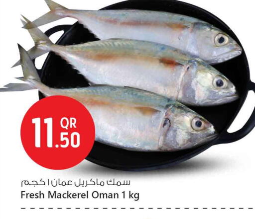 available at Safari Hypermarket in Qatar - Al-Shahaniya