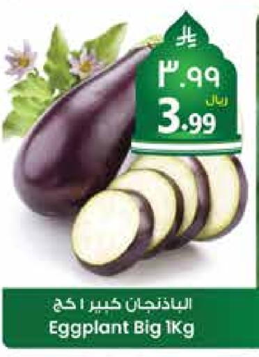 Eggplant available at City Flower in KSA, Saudi Arabia, Saudi - Sakaka